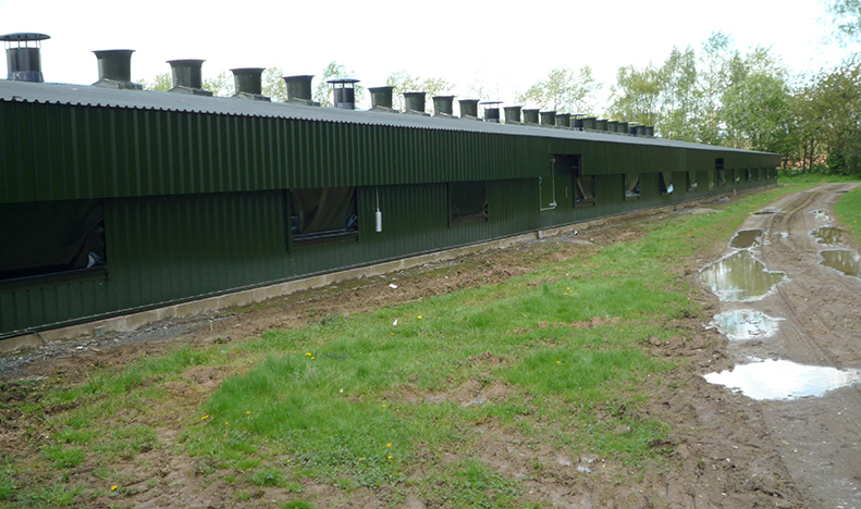 poultry shed refurbishment