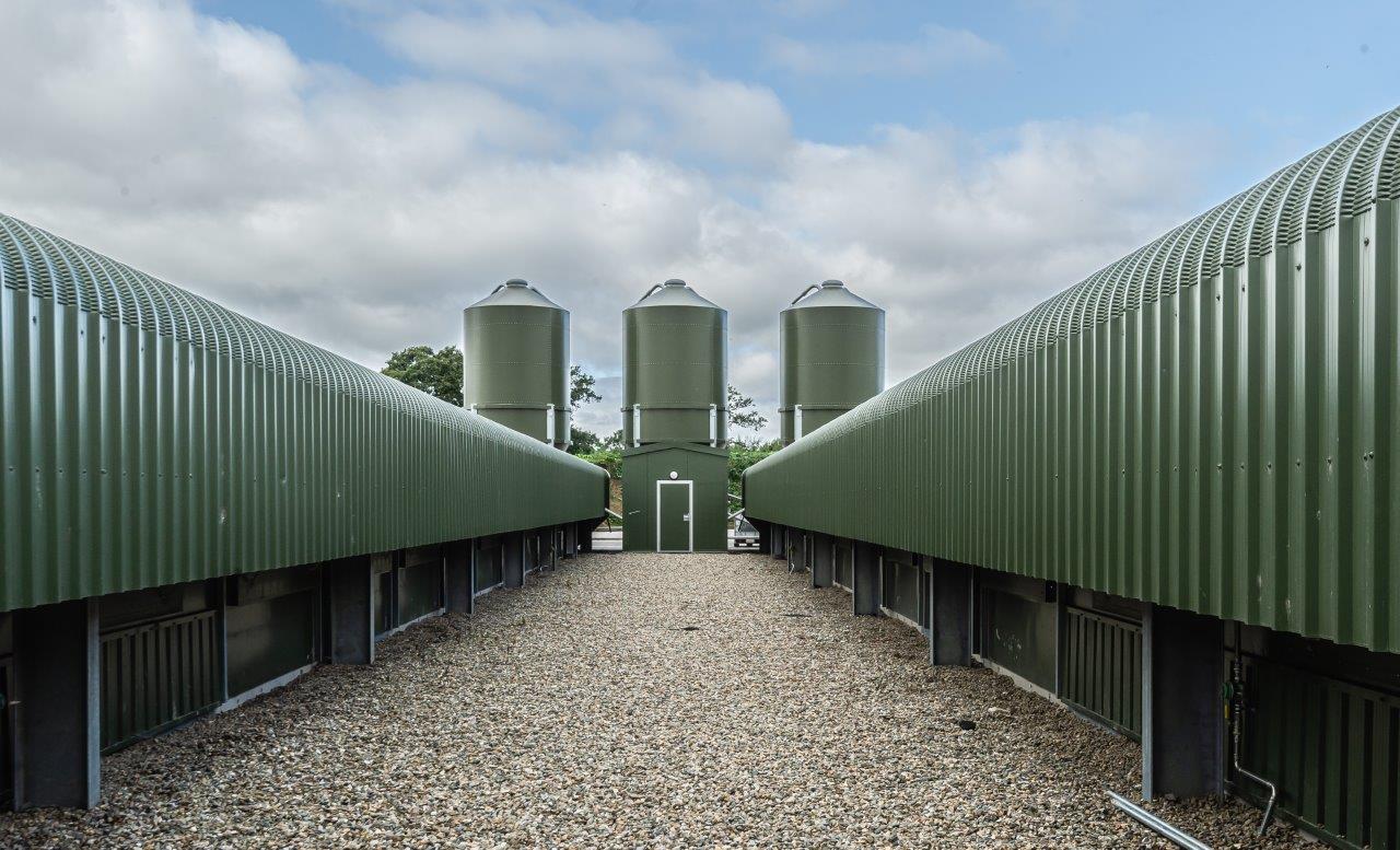 Broiler Poultry Houses designed and constructed by Powell & Co