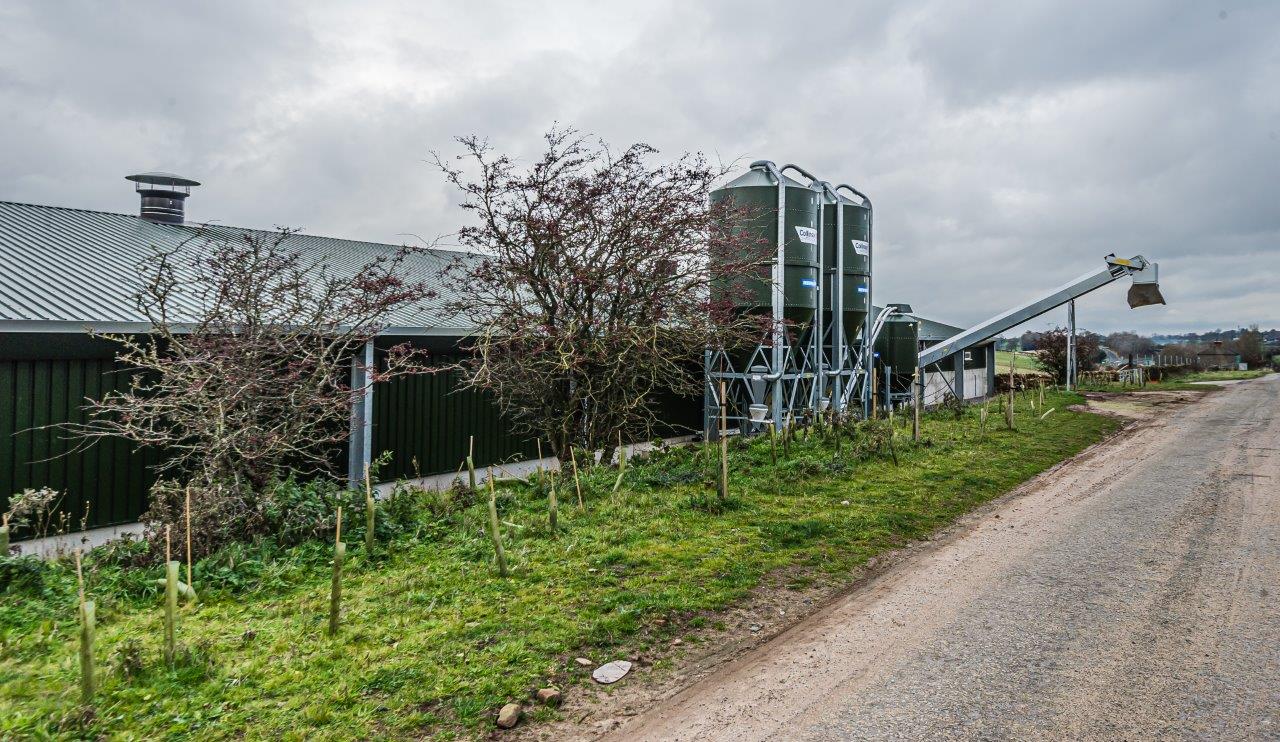 Powell & Co Construction Ltd Free Range Poultry Unit in Cumbria