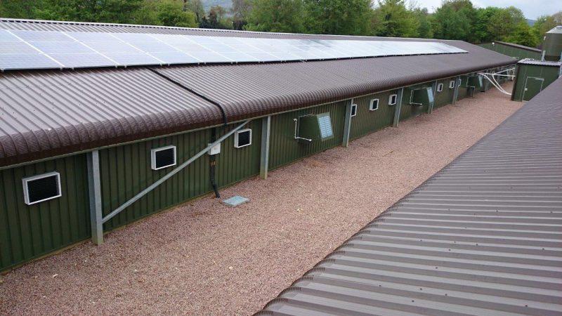 poultry layer housing