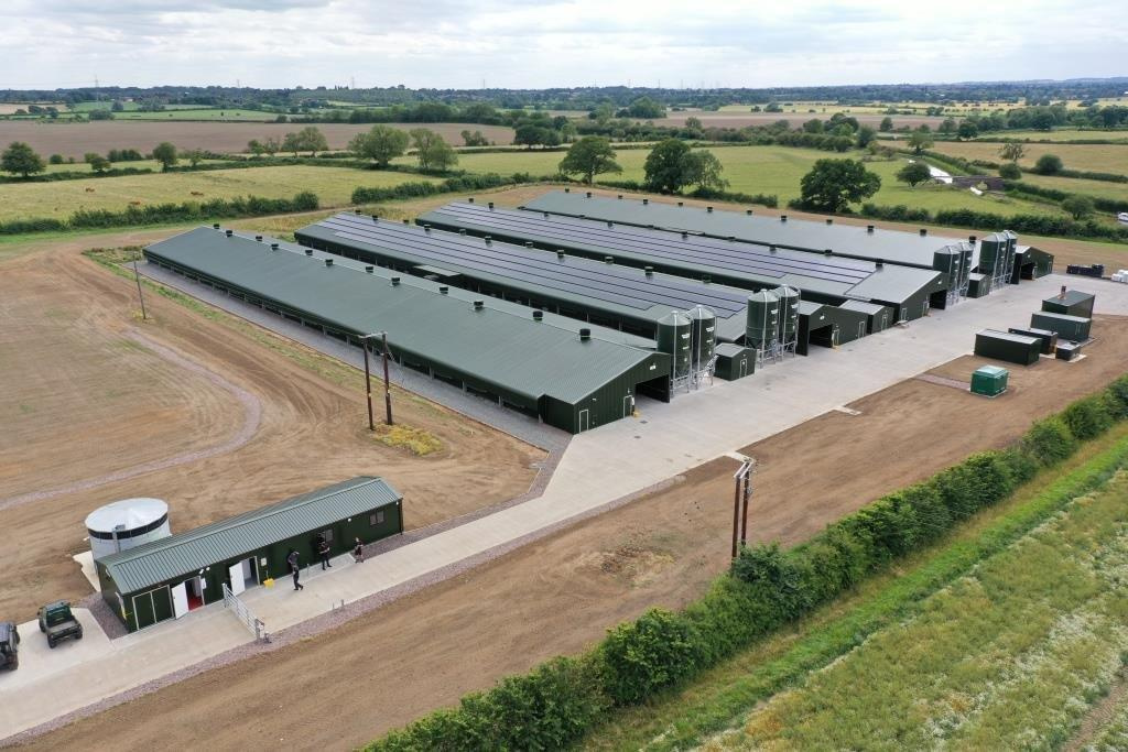 Broiler Poultry Housing