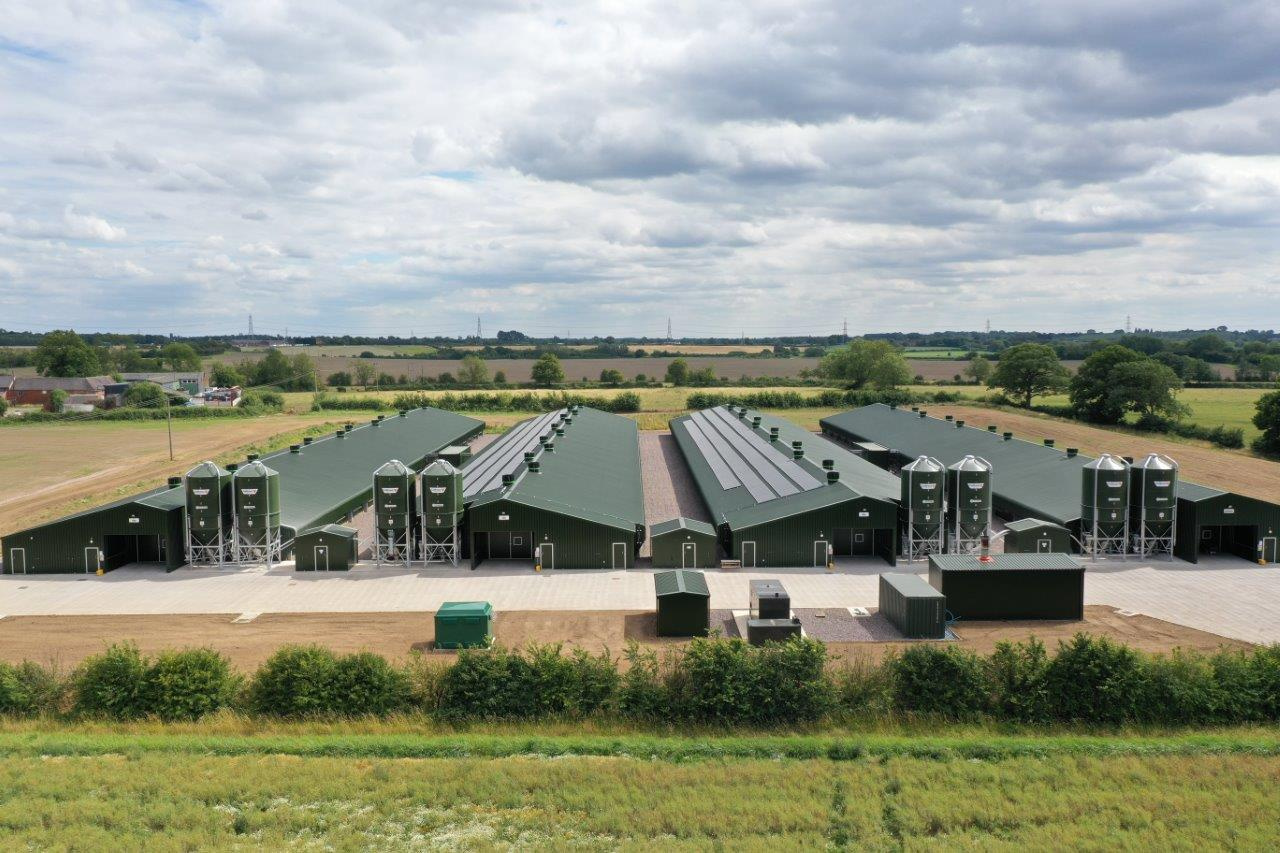 Broiler Poultry Housing